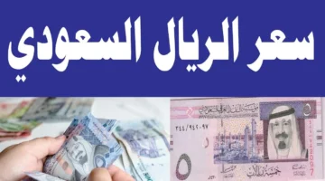 لحظة بلحظة.. سعر الريال السعودي اليوم الأحد 30 نوفمبر 2025 مقابل الجنيه المصري في السوق السوداء والبنك